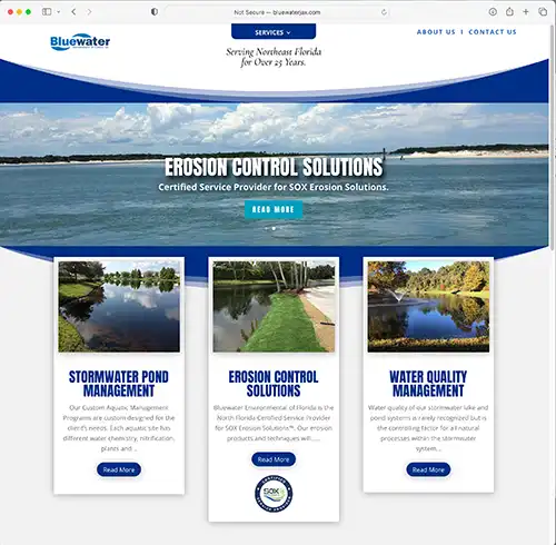 Website home page design 