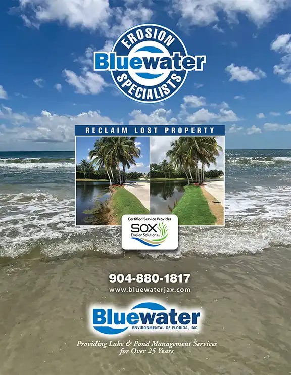 Brochure Cover design for Bluewater erosion 