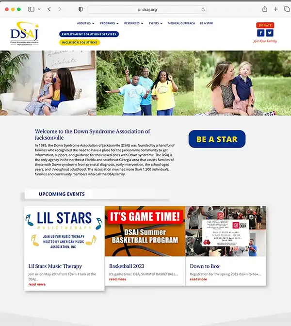 Home page website design for dsaj